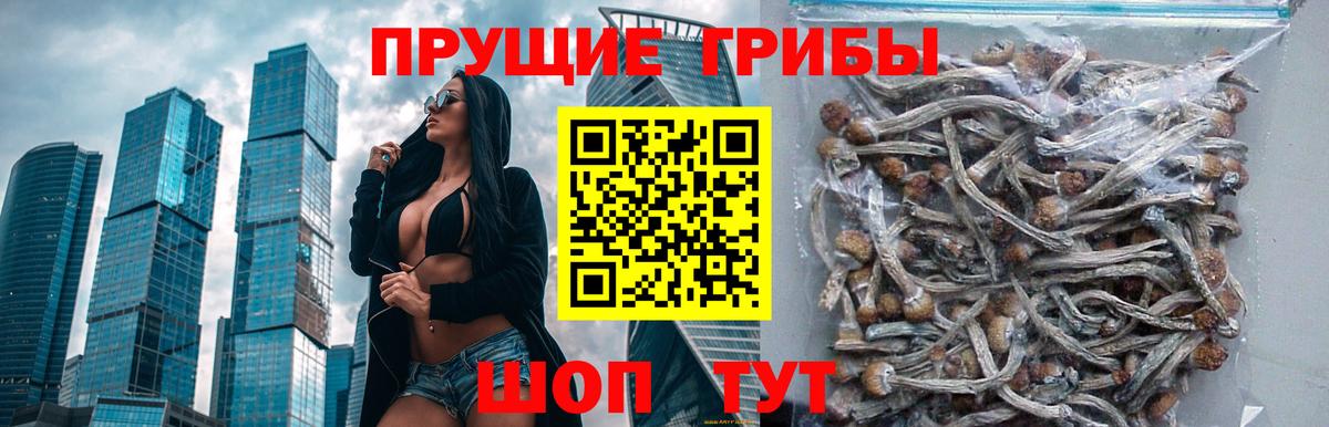 Псилоцибиновые грибы GOLDEN TEACHER  Вход с VPN  Дзержинск 